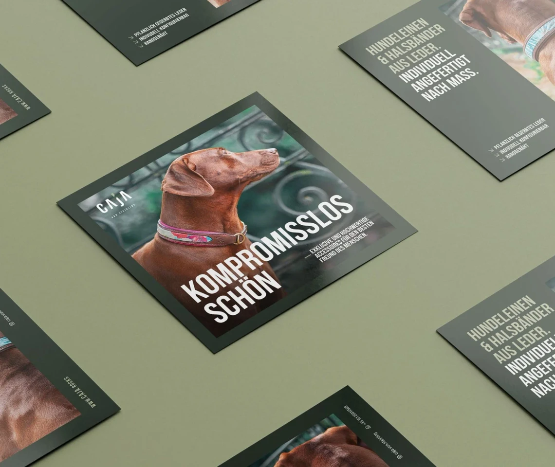 Caja von Steinling: Luxury Dog Accessories Branding