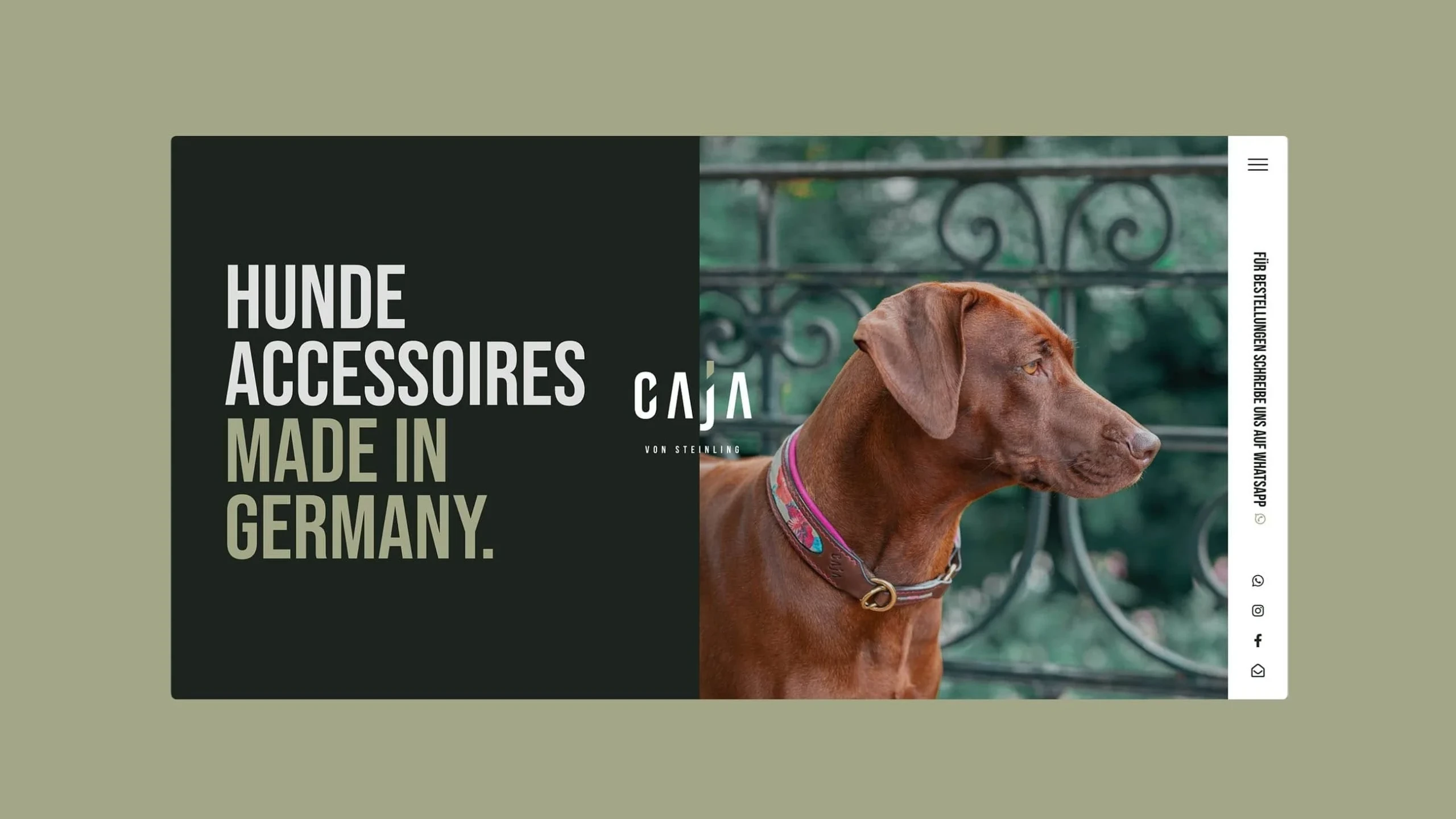 Caja von Steinling: Luxury Dog Accessories Branding