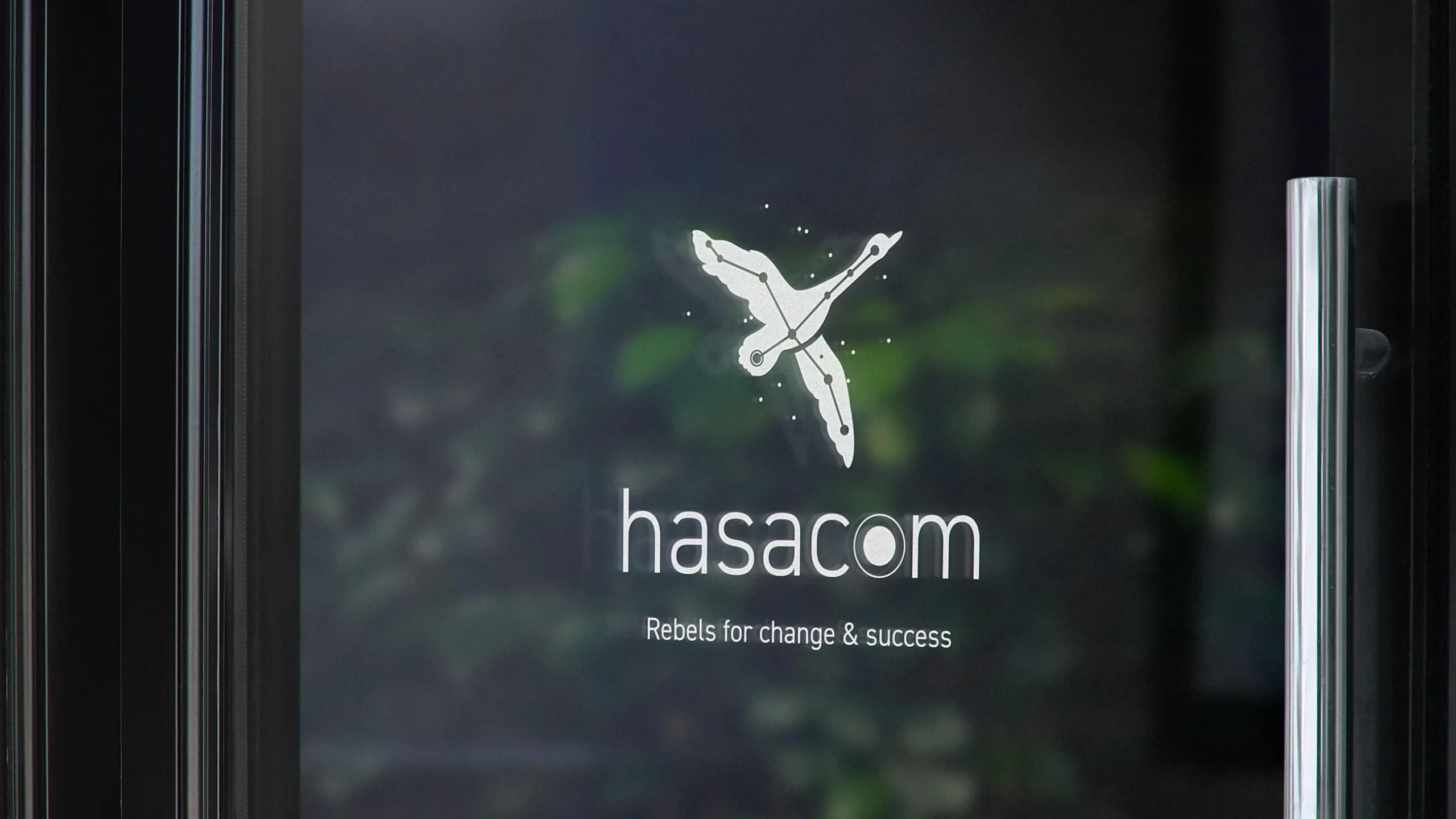 Hasacom: Change Management Branding