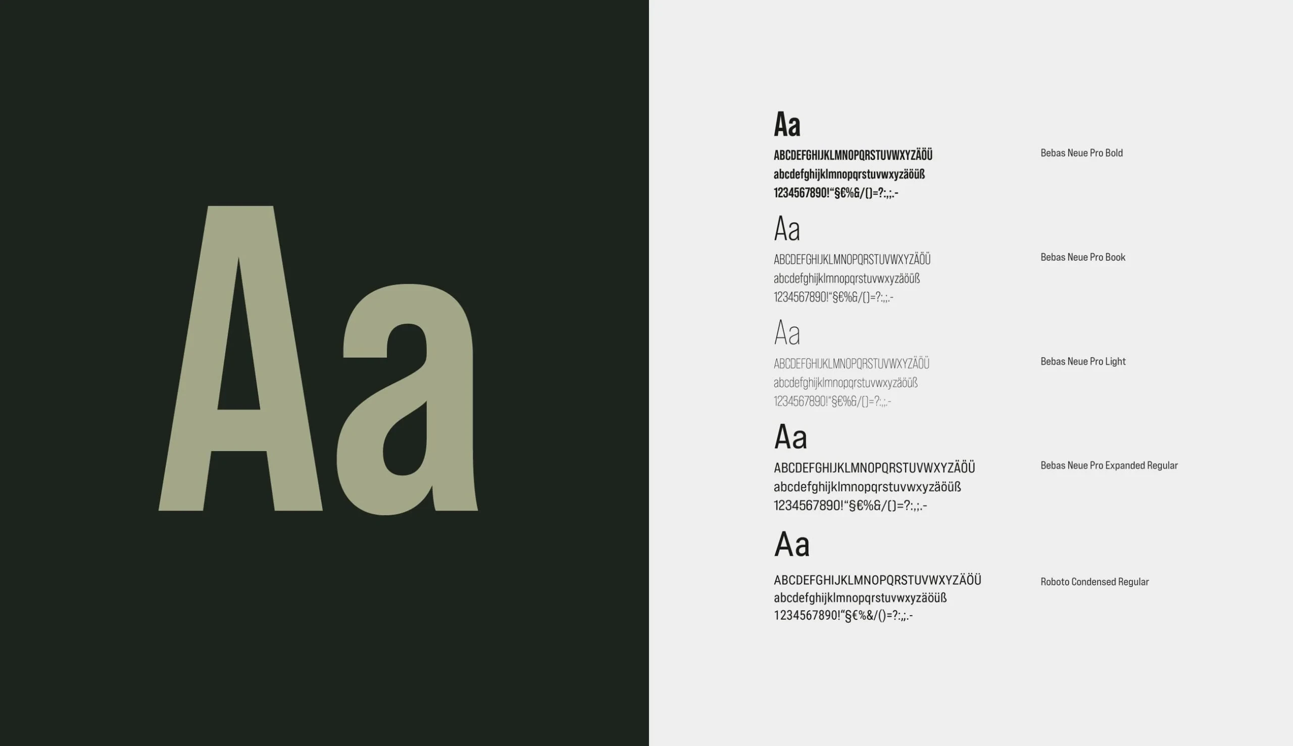 Caja von Steinling: Luxury Dog Accessories Branding screenshot 2