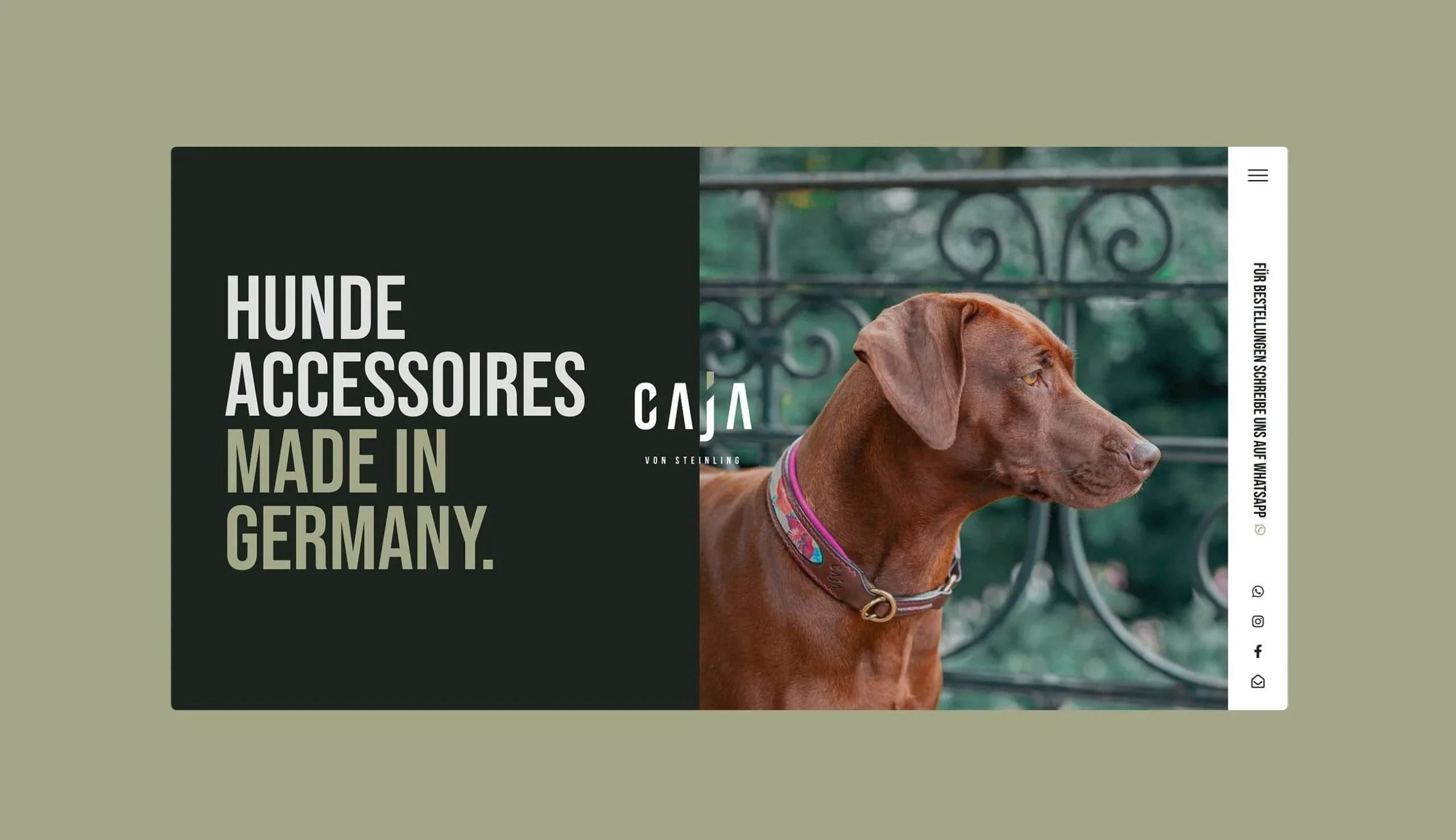 Caja von Steinling: Luxury Dog Accessories Branding screenshot 3
