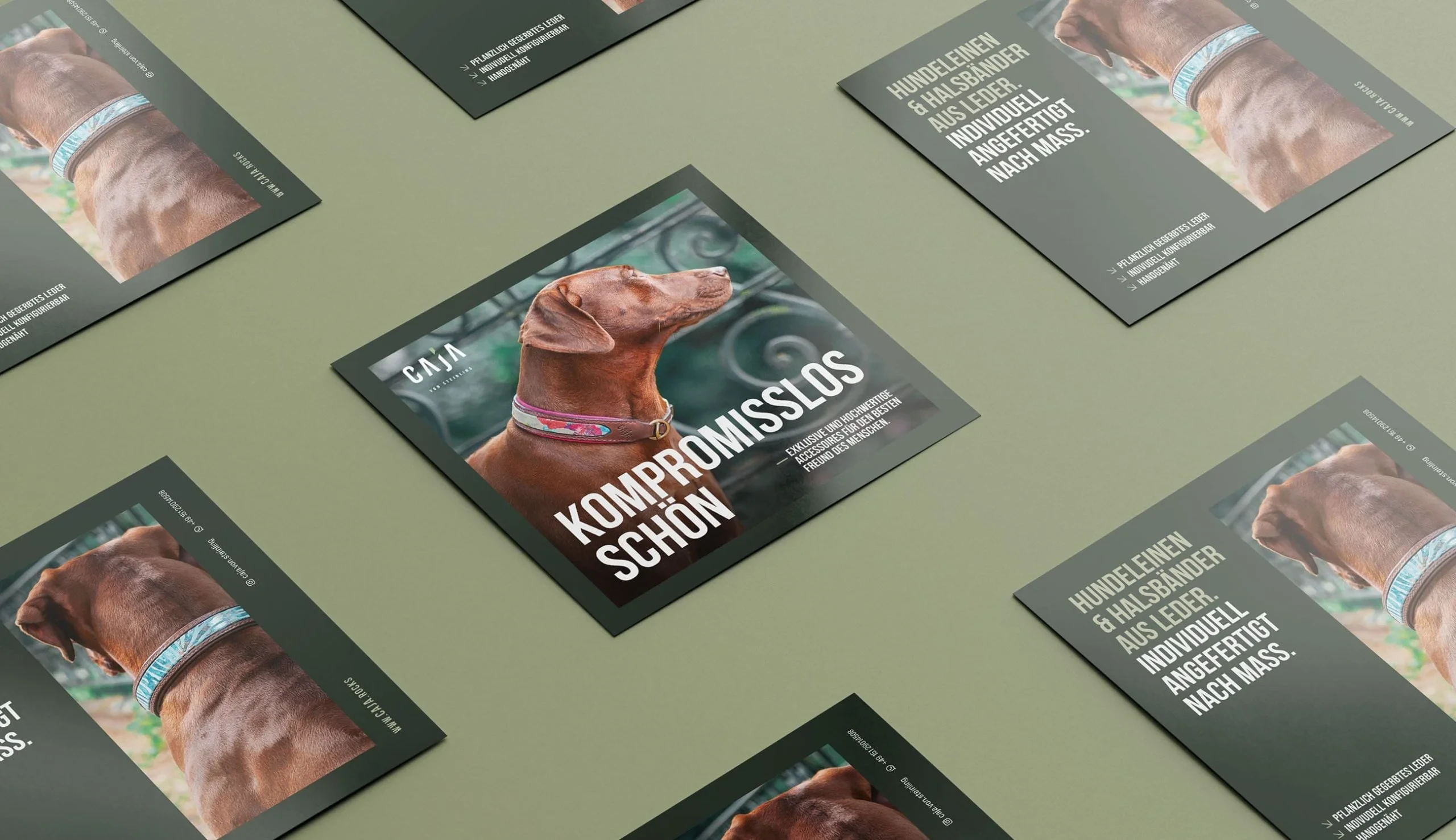 Caja von Steinling: Luxury Dog Accessories Branding screenshot 6