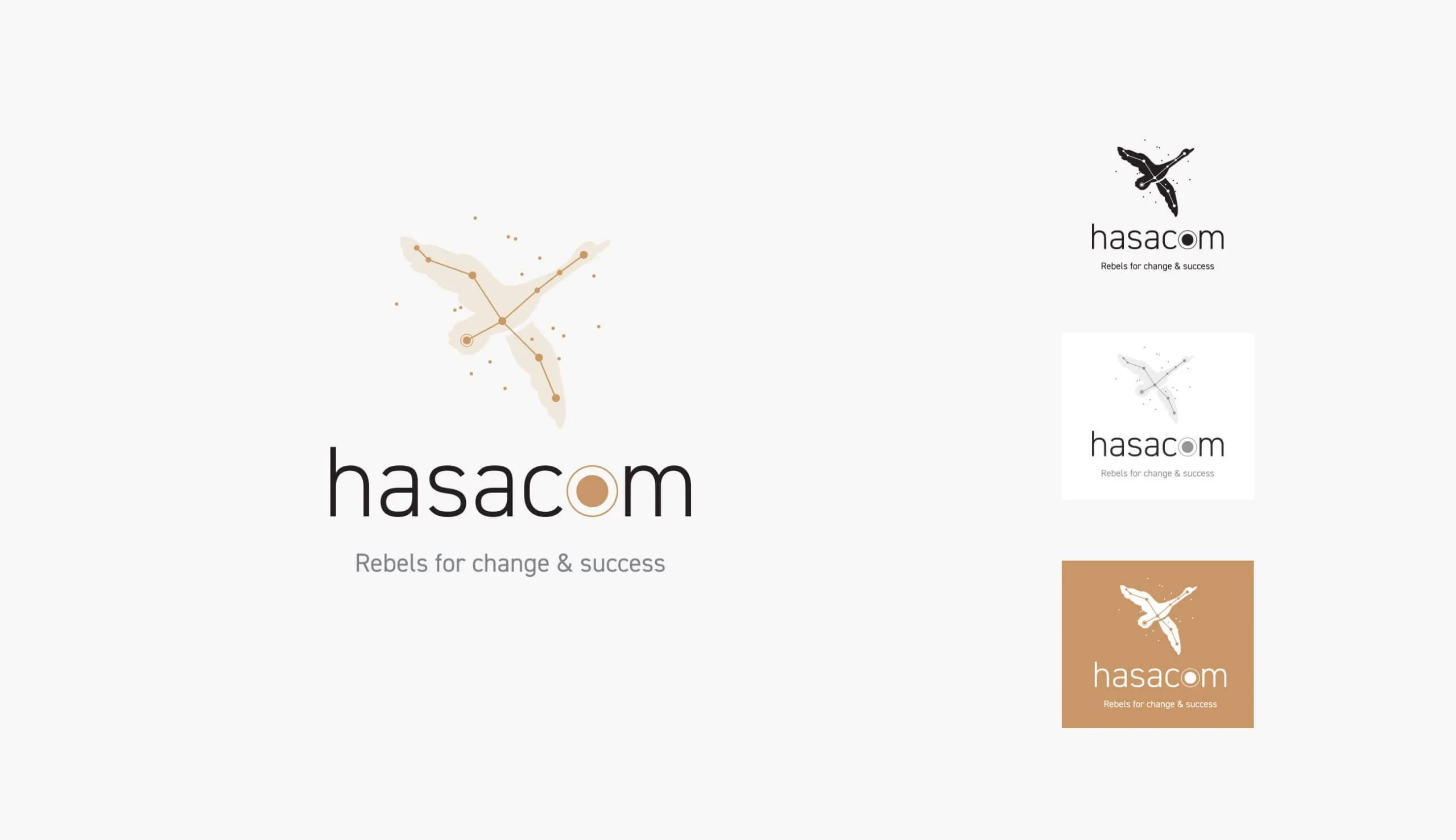 Hasacom: Change Management Branding screenshot 1