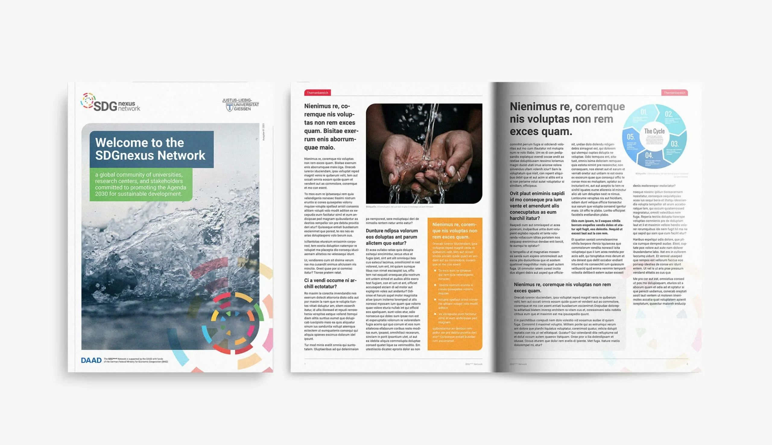 SDGnexus: Research Initiative Branding screenshot 4